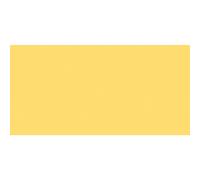 Van Gogh Huile Extra-Fine 40ml: Naples Jaune Profond. S1