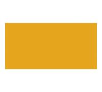 Van Gogh Huile Extra-Fine 40ml: S2 Jaune Indien