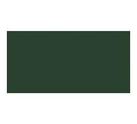 Van Gogh Huile Extra-Fine 40ml: Sapin Vert S2