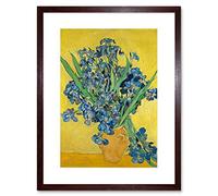 Van Gogh Irises Painting Framed Wall Art Print La Peinture Mur