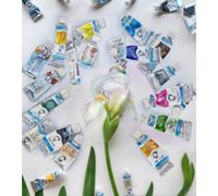 Van Gogh Kit d'aquarelle, set de 12