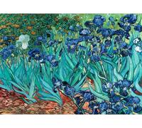 Van Gogh - Les Irises - 61x91,5cm - Affiche / Poster