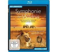 Van Lawick,Hugo - Symphonie der Wildnis (SD) [Blu-Ray] [Import]