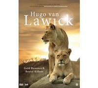 VAN LAWQICK-GOLD RUNNE-VN G