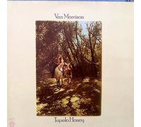 Van Morrison : Tupelo Honey [German Import] [LP vinyle] [Warner Bros k46114 (WS 1950)]