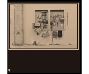 Van Tieghem.David - Fits & Starts