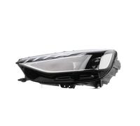 VAN WEZEL 0393965M Projecteur principal