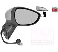 VAN WEZEL 1801808 Rétroviseur extérieur