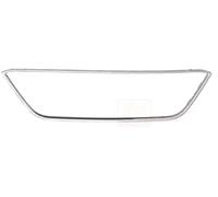 VAN WEZEL 4928519 Cadre, grille de radiateur