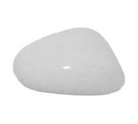 Van Wezel Autoparts Coque de rétroviseur extérieur 4939844 droit pour Seat Leon 2005 à avril 2009
