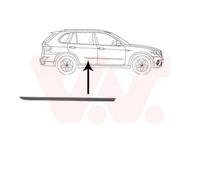 VAN WEZEL Baguette de porte Moulure de porte 0689426 arrière droite pour BMW X5