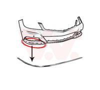 VAN WEZEL Ornemental Bande de Protection Pare-Chocs Avant Droite pour Mercedes