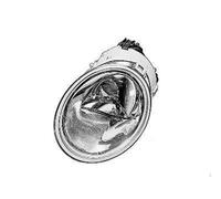 VAN WEZEL Projecteur principal Phare 5803962 droit