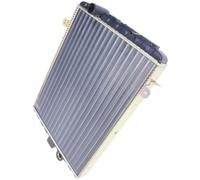 VAN WEZEL 25002122 Radiateur du moteur