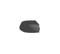Van Wezel verre de rétroviseur extérieur droit noir pour Ford Focus II