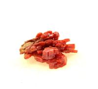 VANADINITE - Pierre Naturelle en Provenance du Maroc, Mibladen Mining District - Cristal Rouge Vif, Puissant Amplificateur d'Énergie 32.0 ct - Certificat d'Authenticité Inclus 24 x 17 x 9 mm Rouge G