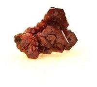 VANADINITE - Pierre Naturelle en Provenance du Maroc, Mibladen Mining District - Cristal Rouge Vif, Puissant Minéral de Guérison 68.0 ct - Certificat d'Authenticité Inclus 27 x 22 x 15 mm Rouge G