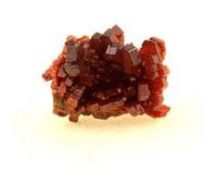 VANADINITE - Pierre Naturelle en Provenance du Maroc, Mibladen Mining District - Cristal Rouge Vif, Puissant Amplificateur d'Énergie 61.0 ct - Certificat d'Authenticité Inclus 26 x 20 x 16 mm Rouge G