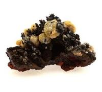 VANADINITE - Pierre Naturelle en Provenance du Maroc, Taouz - Cristal Rouge Vif, Puissant Minéral de Guérison 95.2 ct - Certificat d'Authenticité Inclus 43 x 25 x 24 mm Rouge G