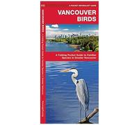 Vancouver Birds: An Introduction To Familiar Species In Greater Vancouver