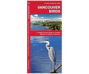 Vancouver Birds: An Introduction To Familiar Species In Greater Vancouver