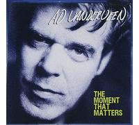 Vanderveen, Ad - Moment That Matters