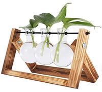 Vandove Vases Ampoule en Verre, Vases Hydroponiques Décorations de Bureauavec, avec Rétro Solide Support Bois et Métal Noir Support, pour Hydroponie Plantes Home Garden Décoration de Mariage (3 Vase)