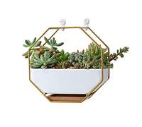 VanEnjoy Vase Mural en céramique Blanche de 17,8 cm et cuivre, Trou de Drainage avec Plateau en Bambou - Pot de Plantes succulentes - Mini Cactus artificielles à Suspendre - Décoration Murale