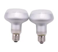 Vanessanty Paquet de 2 75W Reptile LumièRe UVA Chaleur Lampe Ampoule Dragon Barbu Accessoires pour 220V