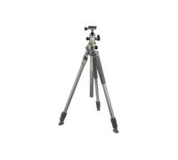 Vanguard Alta Pro 2+ 263AB100 Trépied avec Vanguard Alta BH 100
