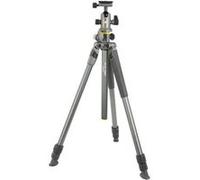 Vanguard Alta Pro 2+ 263AB100 - Trépied - avec Vanguard Alta BH 100 Gris G