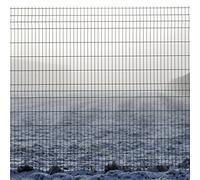 Vanished in Transition