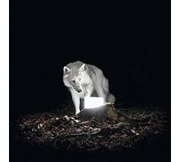 Vanishing life - Surveillance [Import]