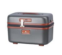 Vanity Case à Code TSA Snowball Gris