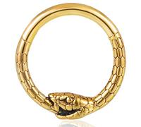 Vankula Piercing Septum Anneau en acier chirurgical Segment Clikcer 16G 8mm 10mm Serpent Hinged Nez Hélix Daith Tragus Conch Piercing Bijoux pour Femmes Hommes Noir Argent Doré