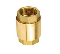 Vanne à aiguille G 1/2 3/4 1 1-1/4 2 pouces DN15 DN20 DN25 DN32 DN50, filetage en laiton, ressort ligne, clapet anti-retour levage Vertical(DN20)