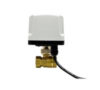 Vanne à bille motorisée en laiton, normalement fermée, ouverture rapide, 1/2, 3/4, pouce, 2 fils, 1 pièce(2",NORMALLY CLOSED_110VAC)