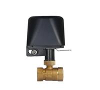 Vanne à bille, TUYA - Vanne À Bille Électrique WiFi Intelligente, Zigbee, Bras Mécanique, De Vapeur D'eau, Interrupteur Distance, Principale, Protection Contre Les Fuites(DN20,Zigbee)