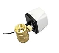 Vanne à boisseau sphérique électrique 220 V CA/24 V CC/12 V CC, vanne à boisseau sphérique motorisée en laiton à 3 fils et 2 points de contrôle, 1 pièce(2inch,220VAC)