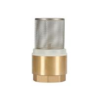 Vanne à boisseau sphérique en cuivre, vanne de fond, pompe à eau avec filtre vertical, clapet anti-retour DN15, DN20, DN25, DN32, DN40, DN50, DN65(DN15)