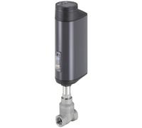 Vanne à Globe Électrique en Acier Inoxydable NC de Contrôle de Processus G 3/4 Pouce - 3361 - 359431