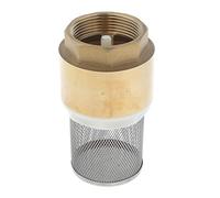 Vanne à pied en laiton avec filtre DN40 - 3,8 cm - Clapet anti-retour vertical - Pour irrigation de pompe à eau