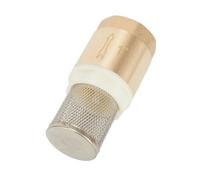 Vanne à pied en laiton DN25 2,5 cm avec clapet anti-retour panier d'aspiration en acier inoxydable pour pompe de plomberie d'eau