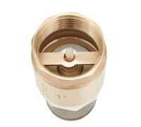 Vanne à pied en laiton DN25 avec clapet anti-retour en acier inoxydable pour pompe de système d'eau pour filetage BSP 2,5 cm Interface 25 mm