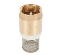Vanne à pied en laiton DN25 avec clapet anti-retour et panier d'aspiration en acier inoxydable pour système de pompe à filetage interne de 2,5 cm pour protéger contre les particules flottantes