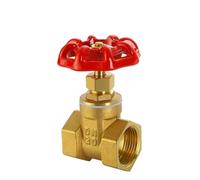 Vanne à vanne en laiton DN15 DN20 DN25 DN32 DN40 DN50 filetage for interrupteur d'eau(DN20)