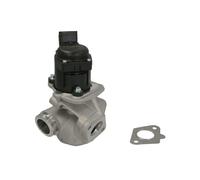 Vanne BORG WARNER 710929D