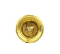 Vanne Clapet anti-retour en laiton épais, filetage intérieur lisse, ressort, à basculement vertical(4")