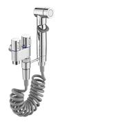 Vanne d'angle de salle de bain en alliage de zinc avec douchette murale pour nettoyage de l'eau pour accessoires de toilette (ensemble rinçage argenté)