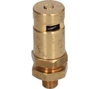 Vanne de chaudière ø 1/8"M 1523408